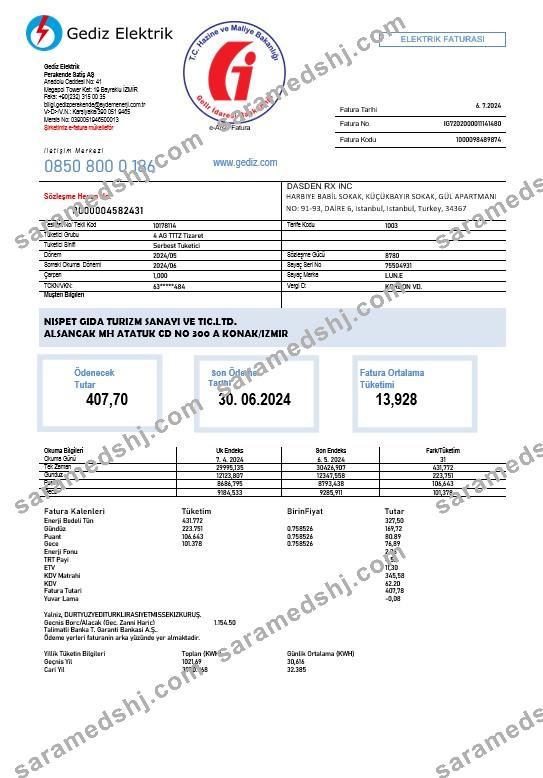 Turkey Gediz Elektrik business utility bill template in Word and PDF formats, fully editable